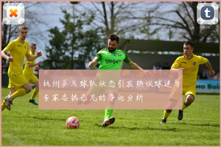 杭州乒乓球队状态引发热议球迷与专家各执己见的争论分析