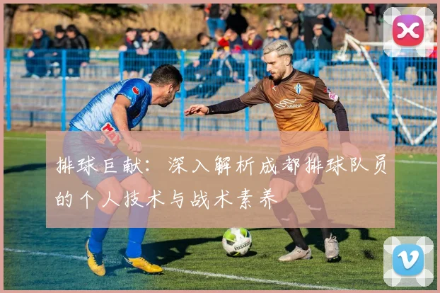 排球巨献：深入解析成都排球队员的个人技术与战术素养