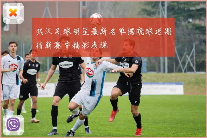 武汉足球明星最新名单揭晓球迷期待新赛季精彩表现