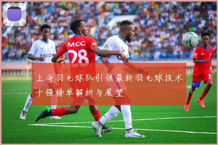 上海羽毛球队引领最新羽毛球技术十强榜单解析与展望