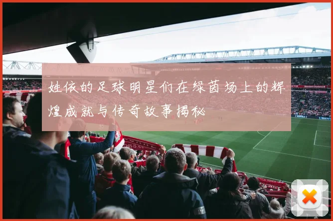 姓依的足球明星们在绿茵场上的辉煌成就与传奇故事揭秘