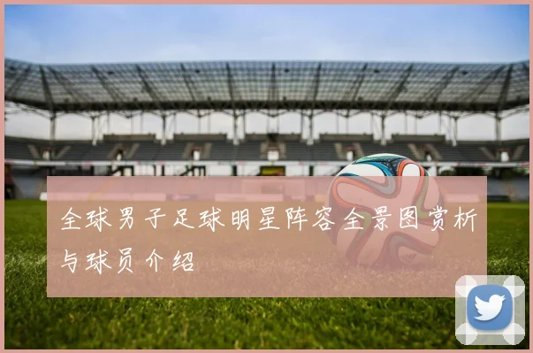 全球男子足球明星阵容全景图赏析与球员介绍
