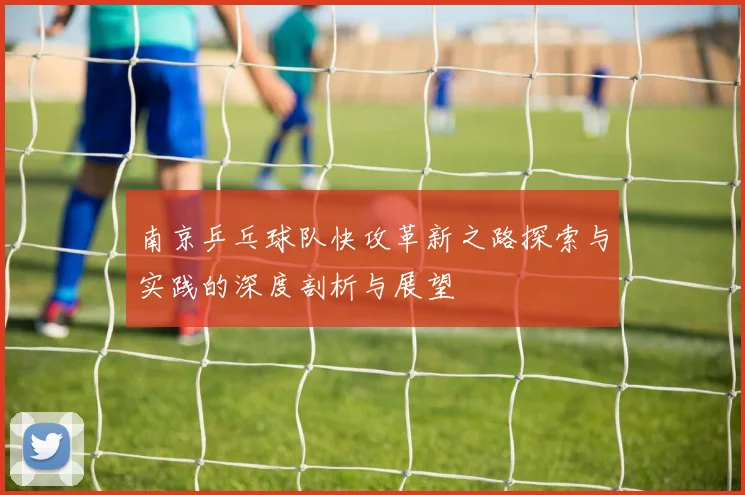 南京乒乓球队快攻革新之路探索与实践的深度剖析与展望