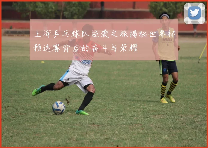 上海乒乓球队逆袭之旅揭秘世界杯预选赛背后的奋斗与荣耀