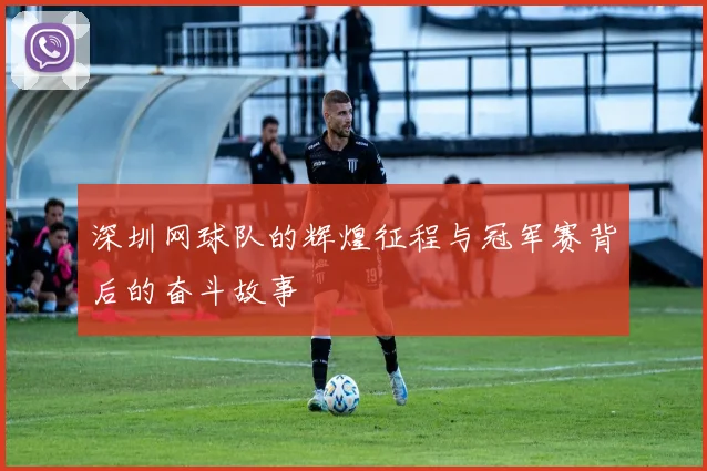 深圳网球队的辉煌征程与冠军赛背后的奋斗故事