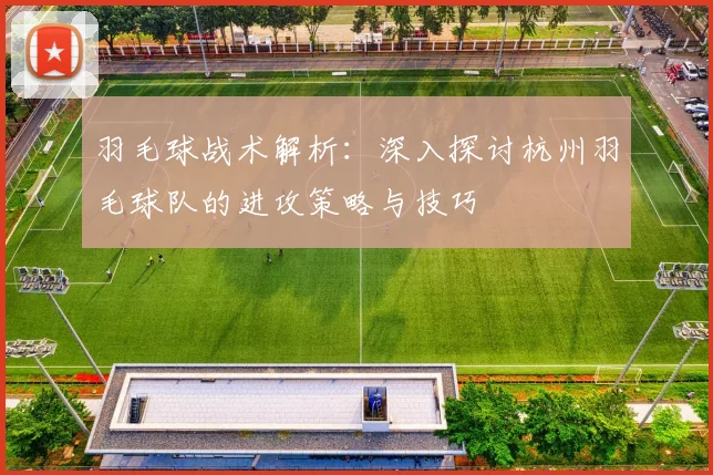 羽毛球战术解析：深入探讨杭州羽毛球队的进攻策略与技巧