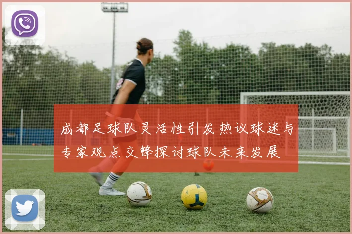 成都足球队灵活性引发热议球迷与专家观点交锋探讨球队未来发展